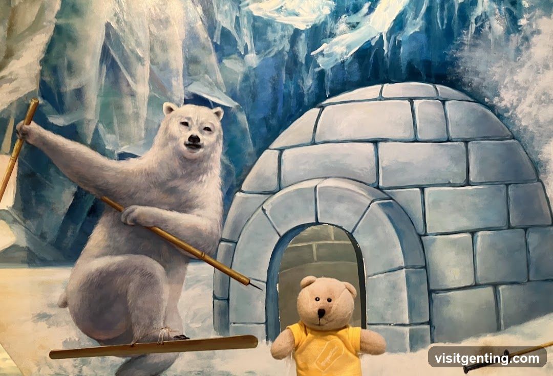 Polar Bear and Igloo Scene