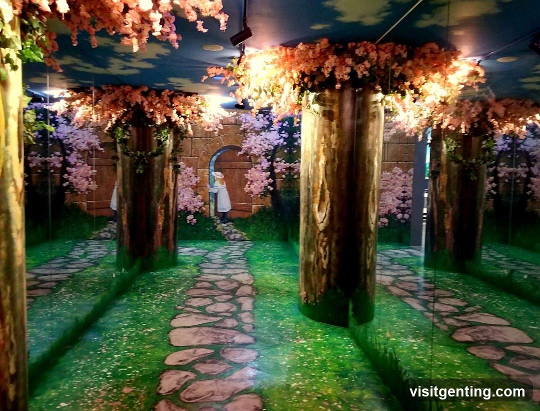 Interior Fantasy Display
