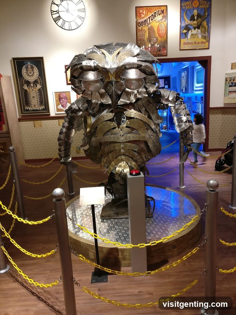 Interior exhibit at museum or attraction