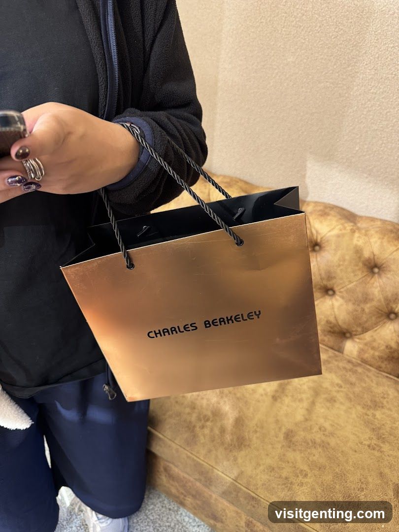 Shopping Bag Held by Person