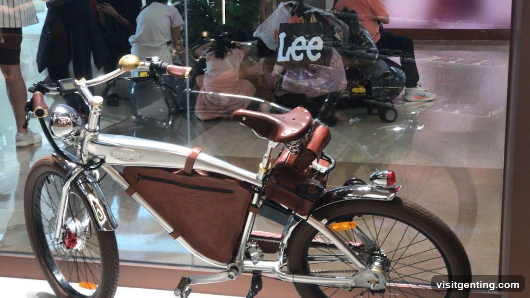Bicycle Display in Storefront