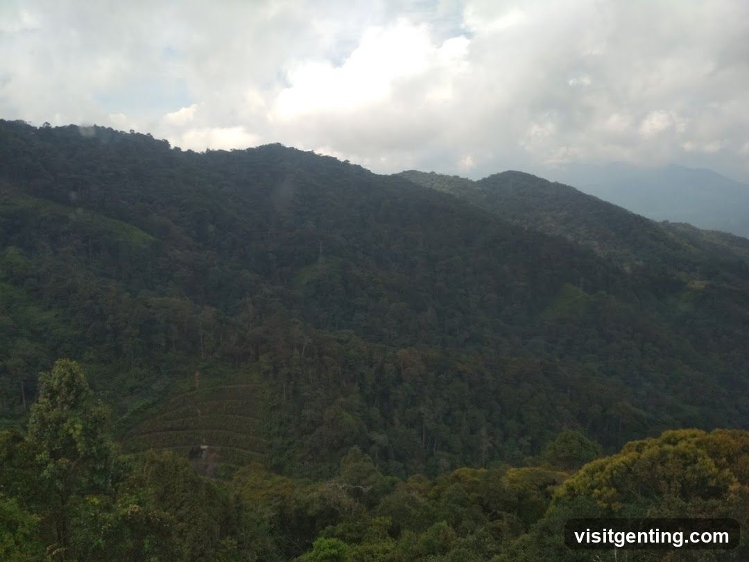 Genting Skyway upper station