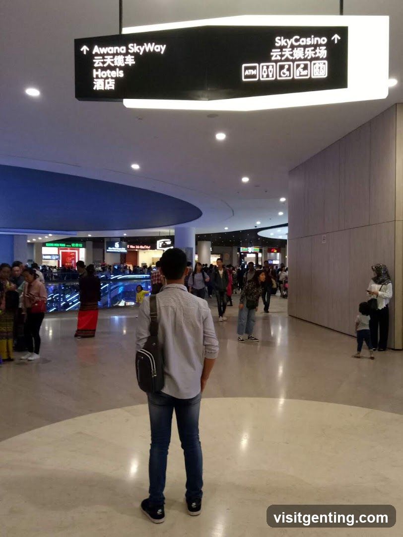 Interior of a shopping or entertainment complex