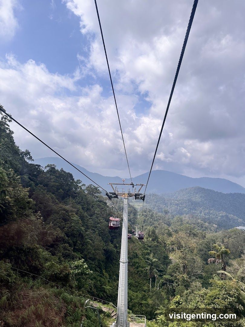 Cable Car View Over Forested Mountains