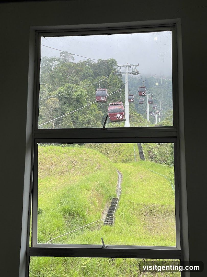 View from Window