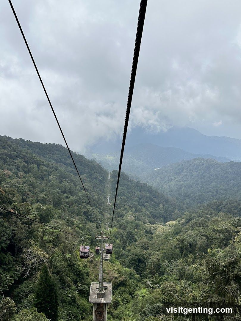 Cable Car View Over Forested Mountains