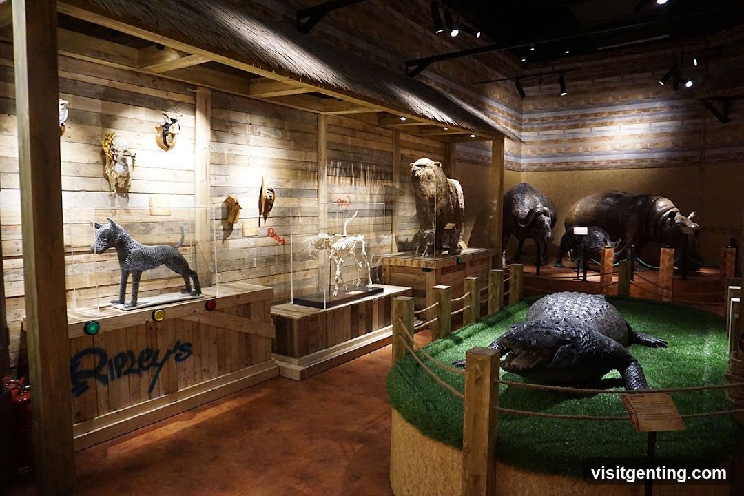 Ripley's Adventureland