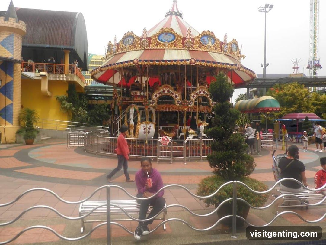 Amusement Park Scene