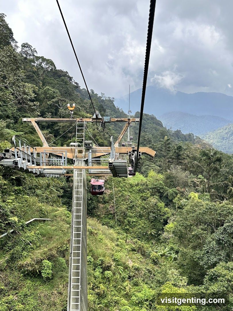 Cable Car Station in Forested Mountain Area