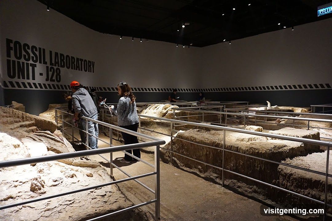 Fossil Laboratory Unit - J28 Exhibition