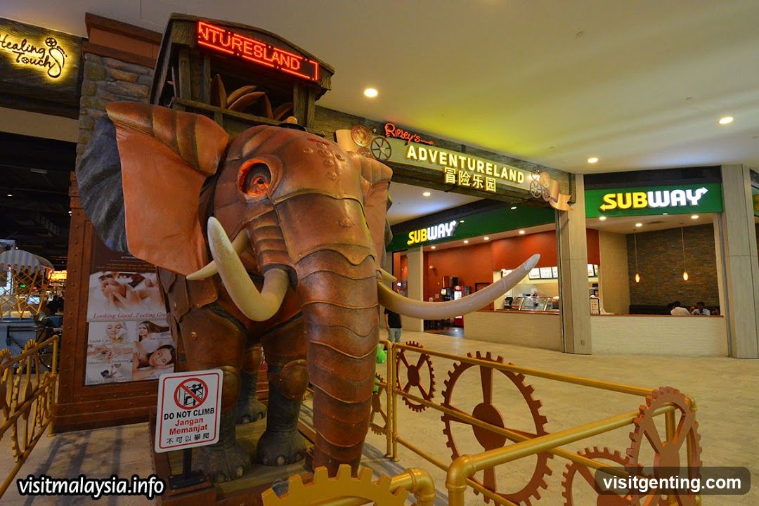 Adventureland Entrance Area