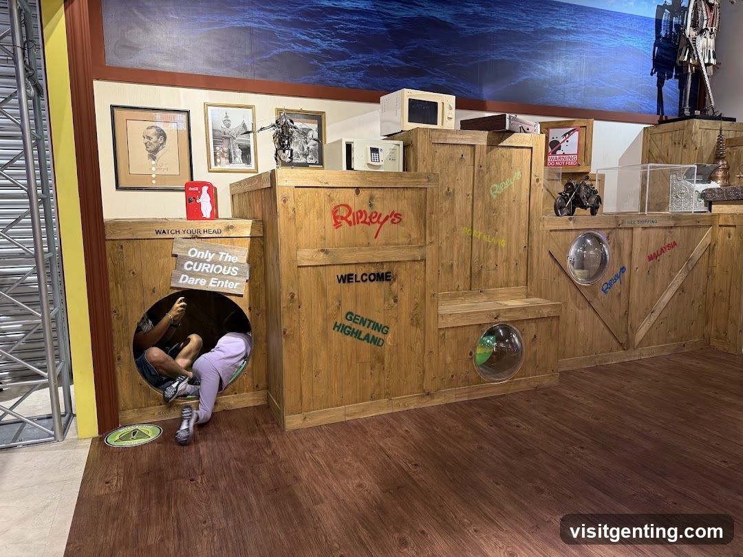 Ripley's themed interior