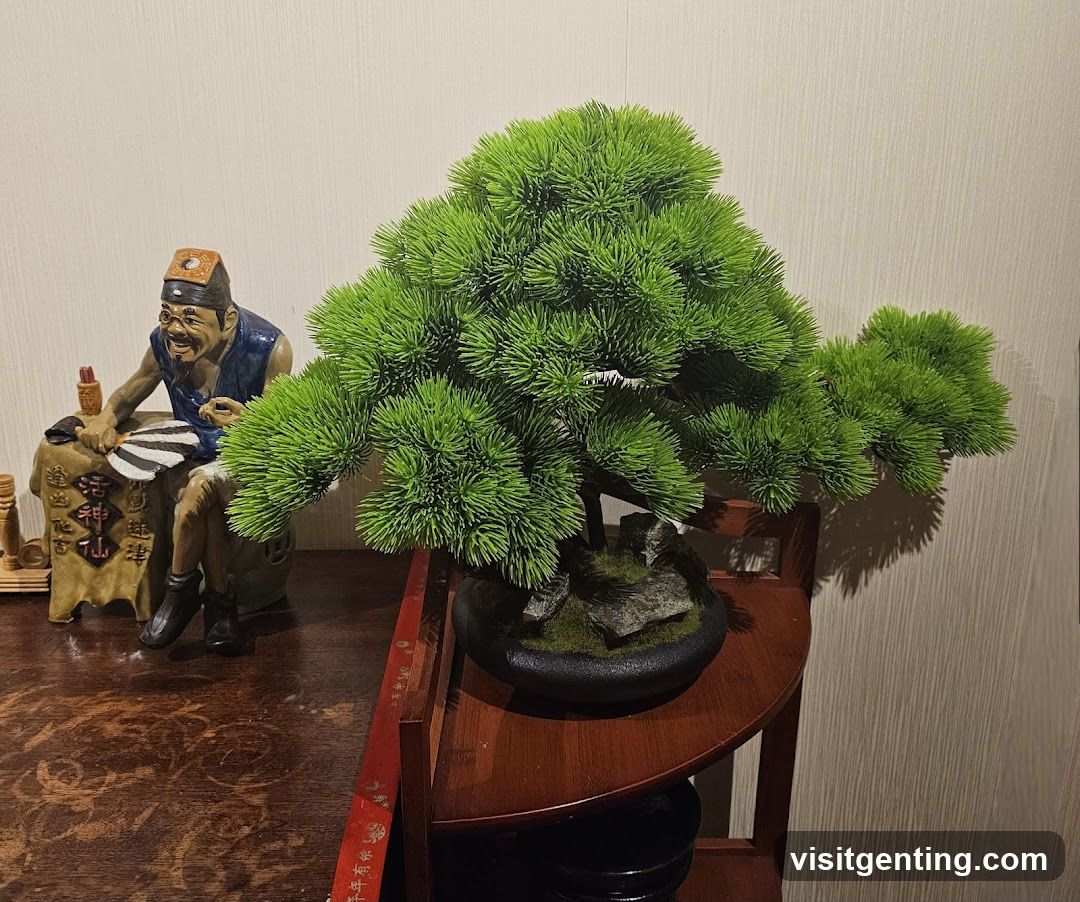 Interior Decor Display