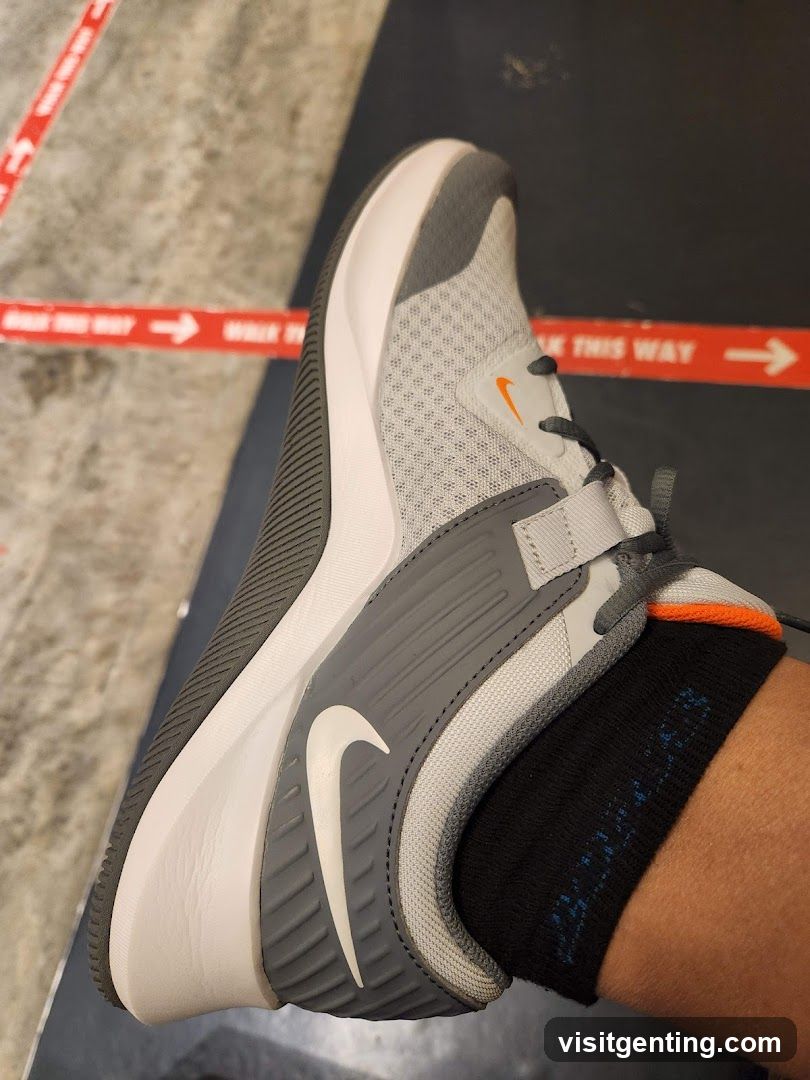 Nike Shoe