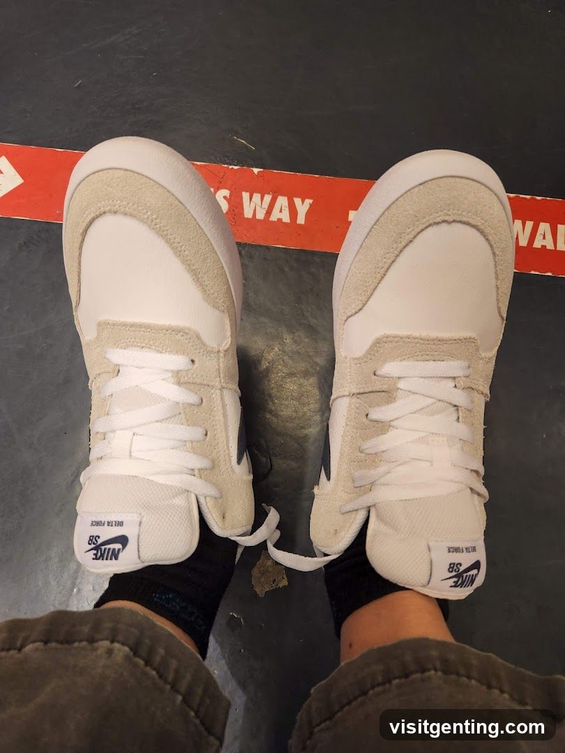 Nike SB Delta Force Shoes