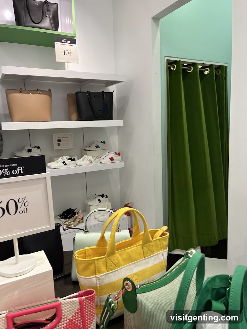 Store Display with Handbags and Shoes