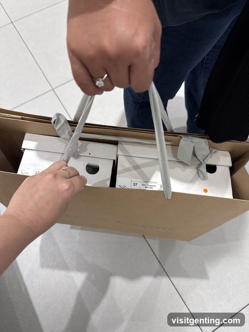 Shopping Bag with Shoe Boxes