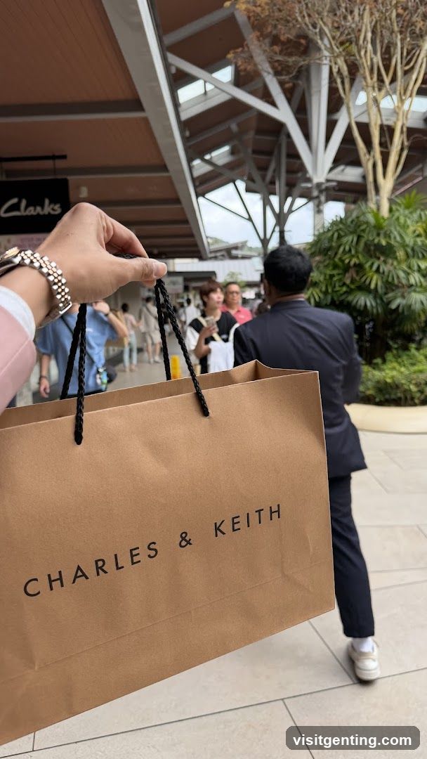 Shopping Bag