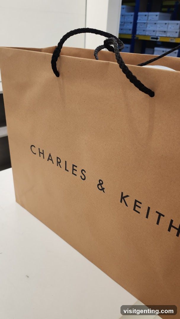 Shopping Bag