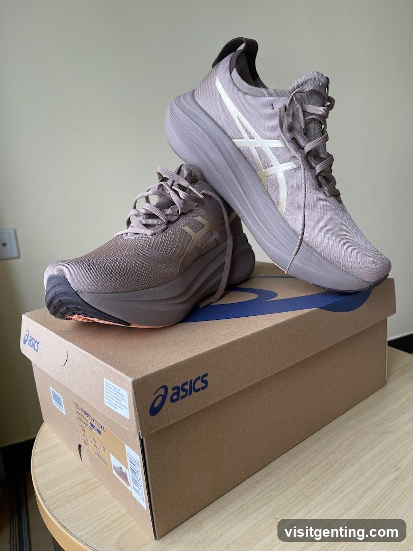 Asics Running Shoes