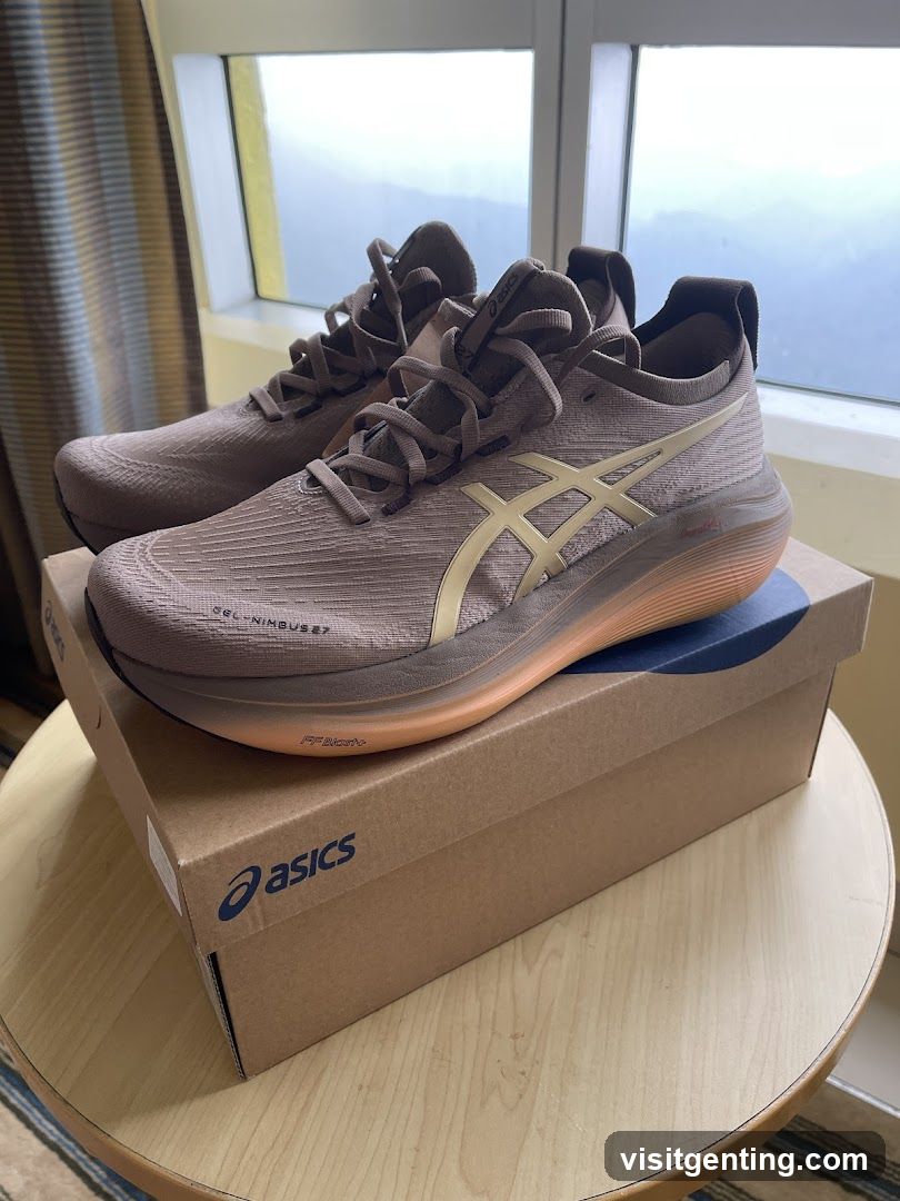 Asics Running Shoes
