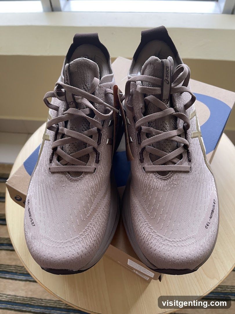 Asics Running Shoes