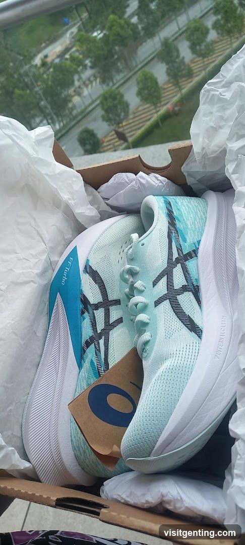 ASICS Running Shoes