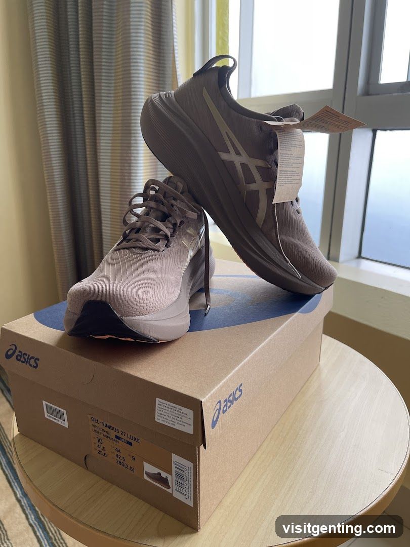 ASICS Running Shoes