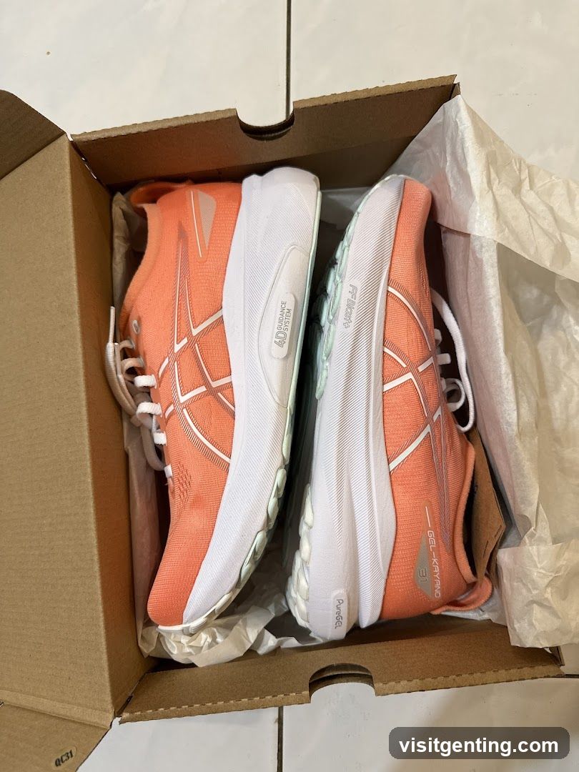 ASICS Running Shoes