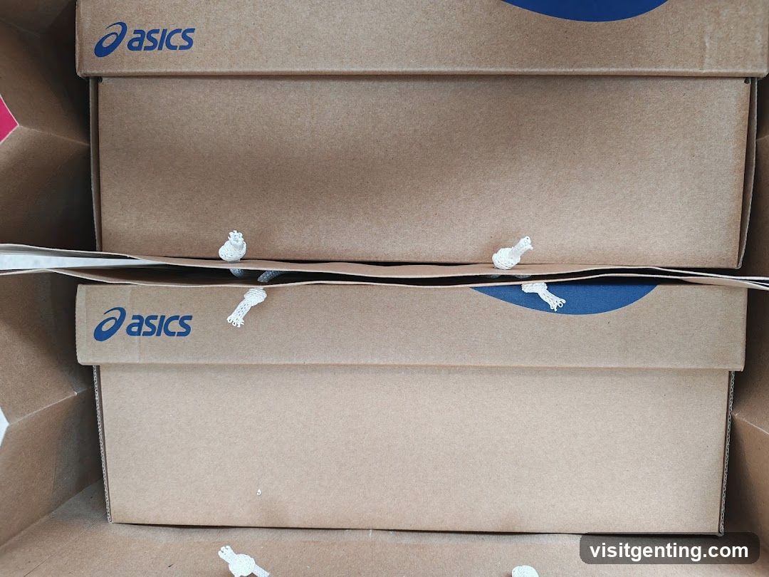 Asics Shoe Boxes