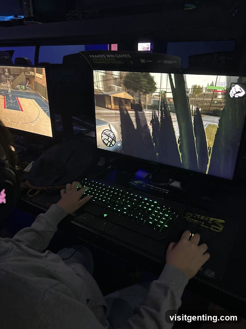 Gaming Setup