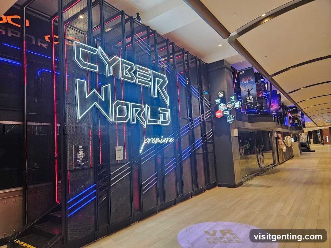 Cyber World VR Experience