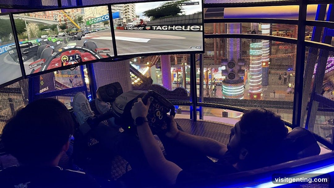 Formula 1 Racing Simulator
