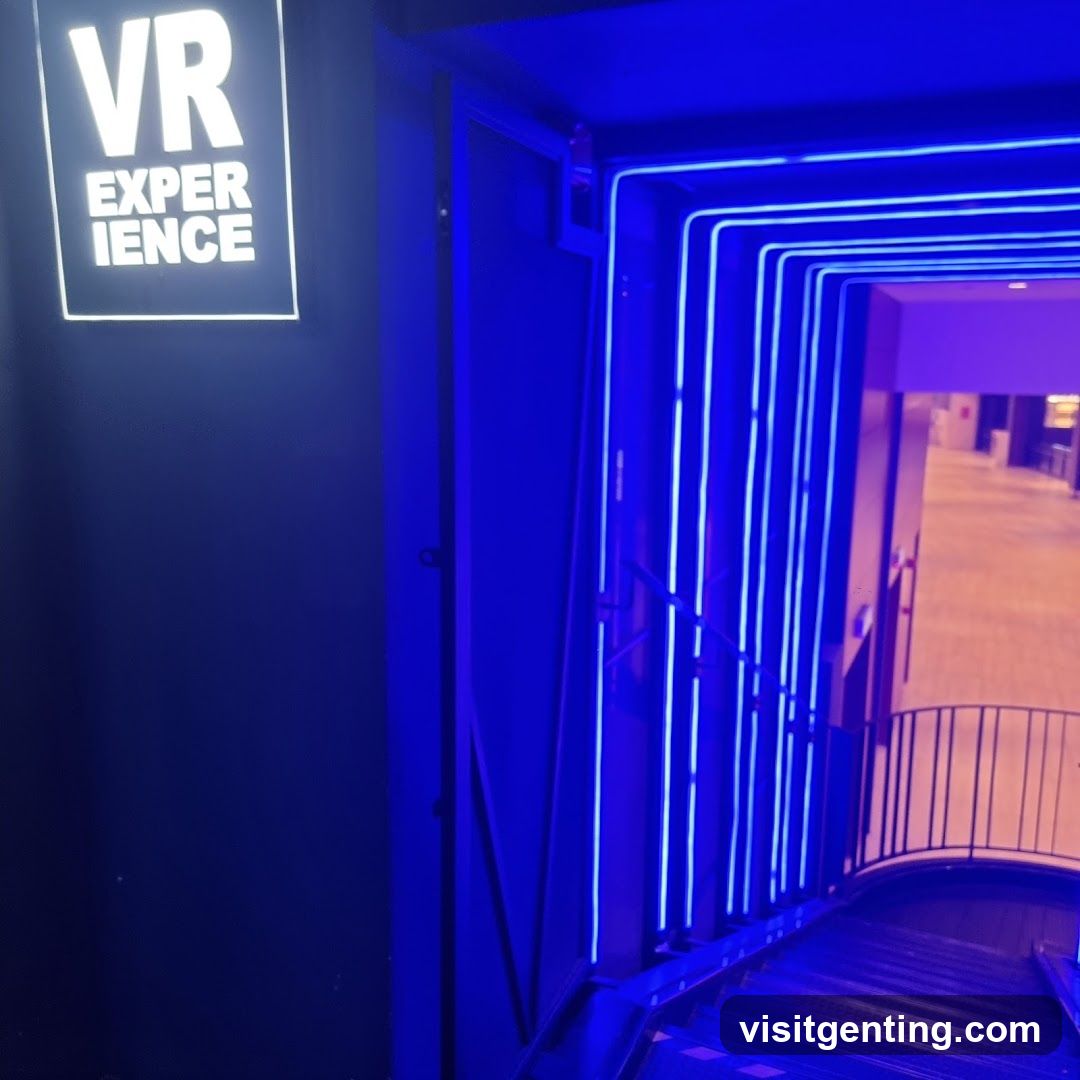VR Experience Entrance