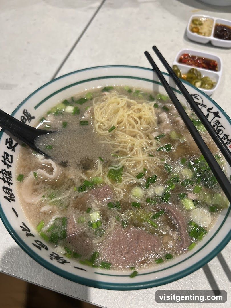 Noodle Soup with Sliced Meat and Garnish