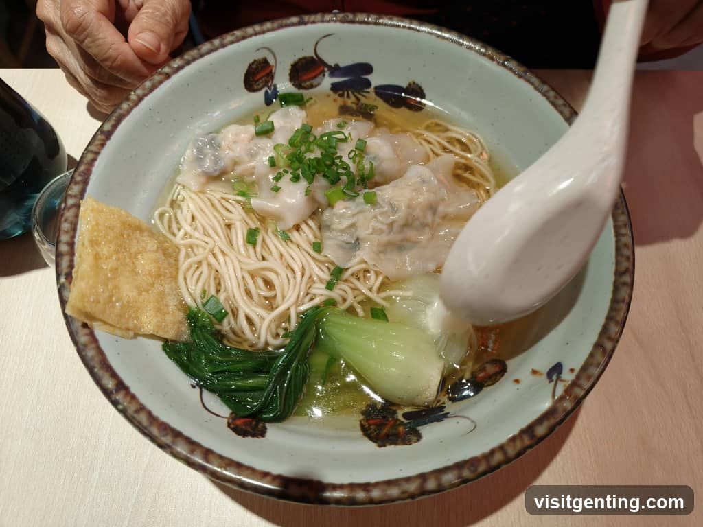 Wonton Noodle Soup