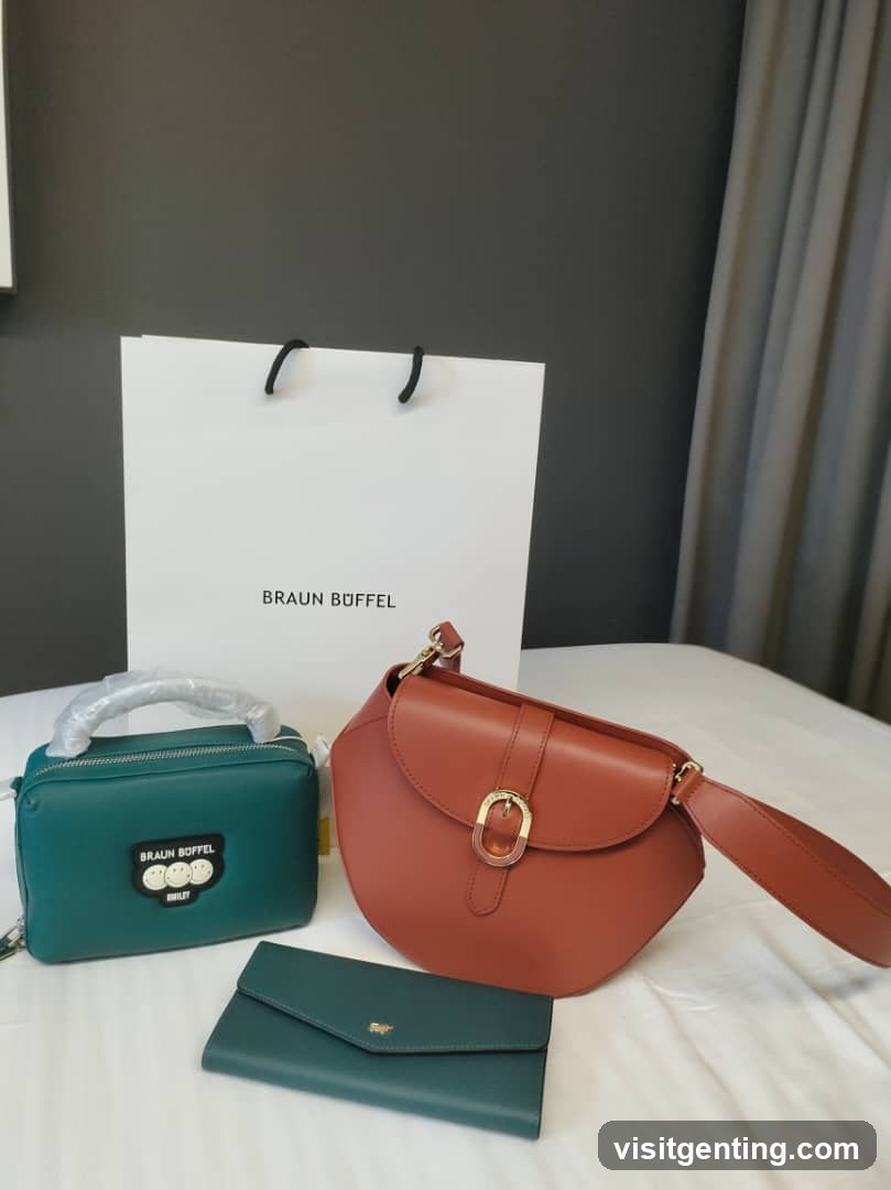 Braun Buffel Handbags and Wallet