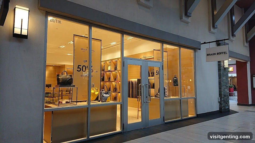 Braun Buffel