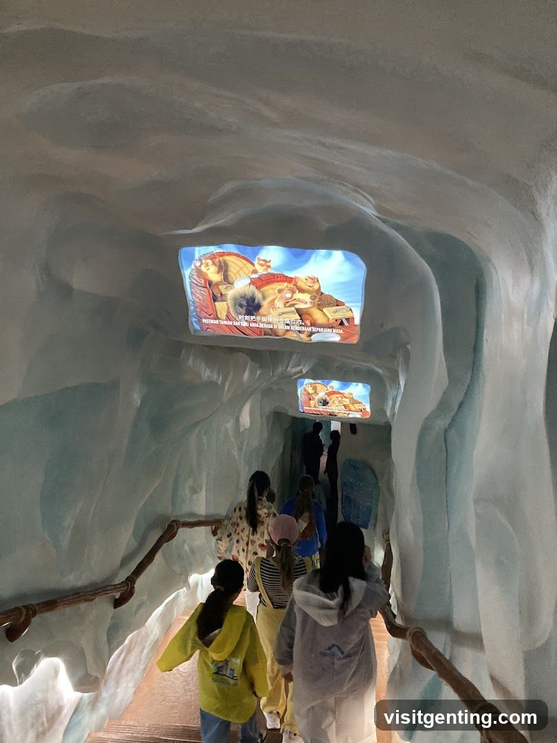 Ice Cave Walkway with Screens