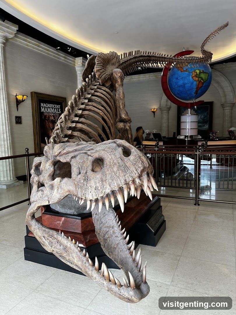 Dinosaur Skeleton Display