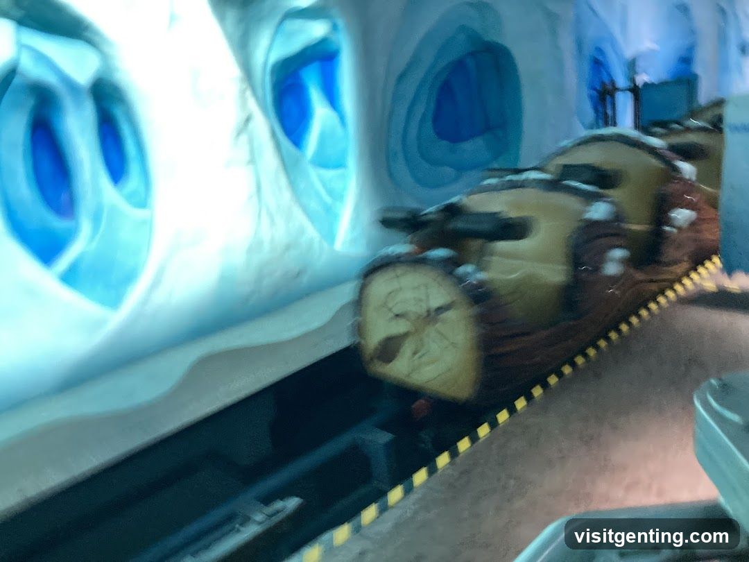 Log Ride Vehicle in Ice Cave