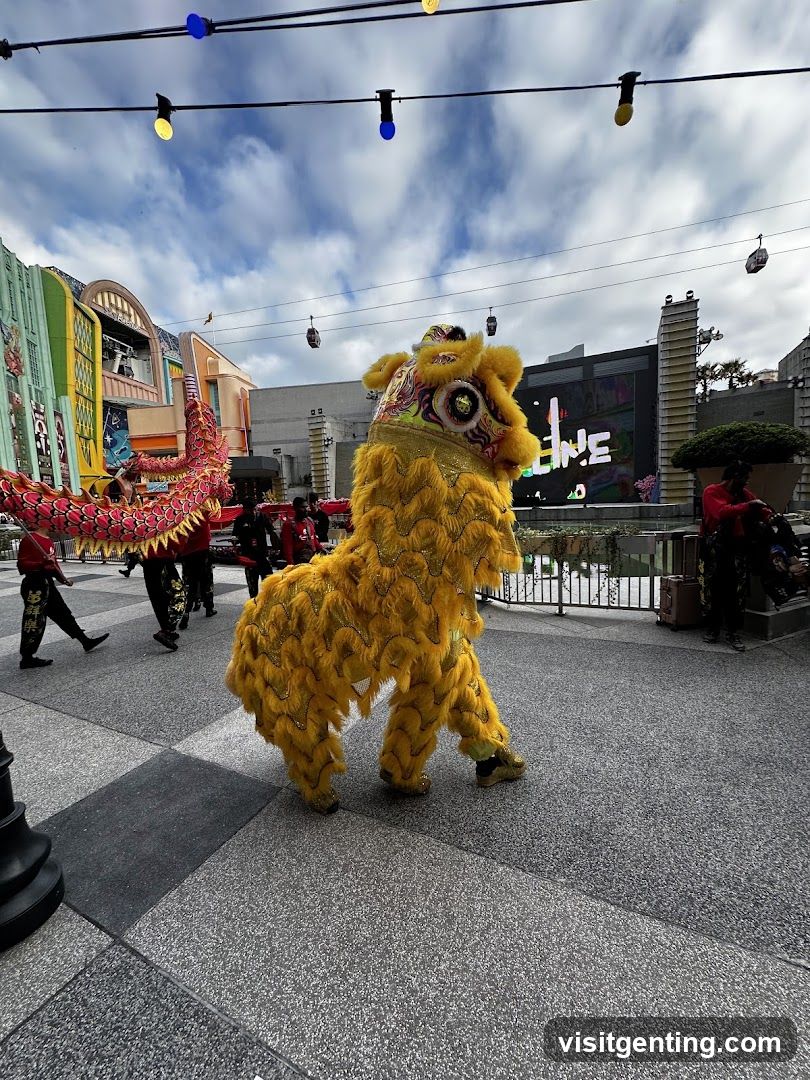 Lion Dance Performance