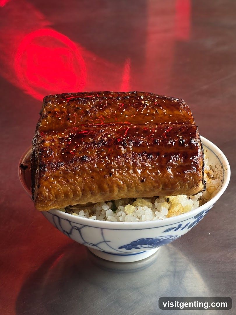 Unagi Donburi