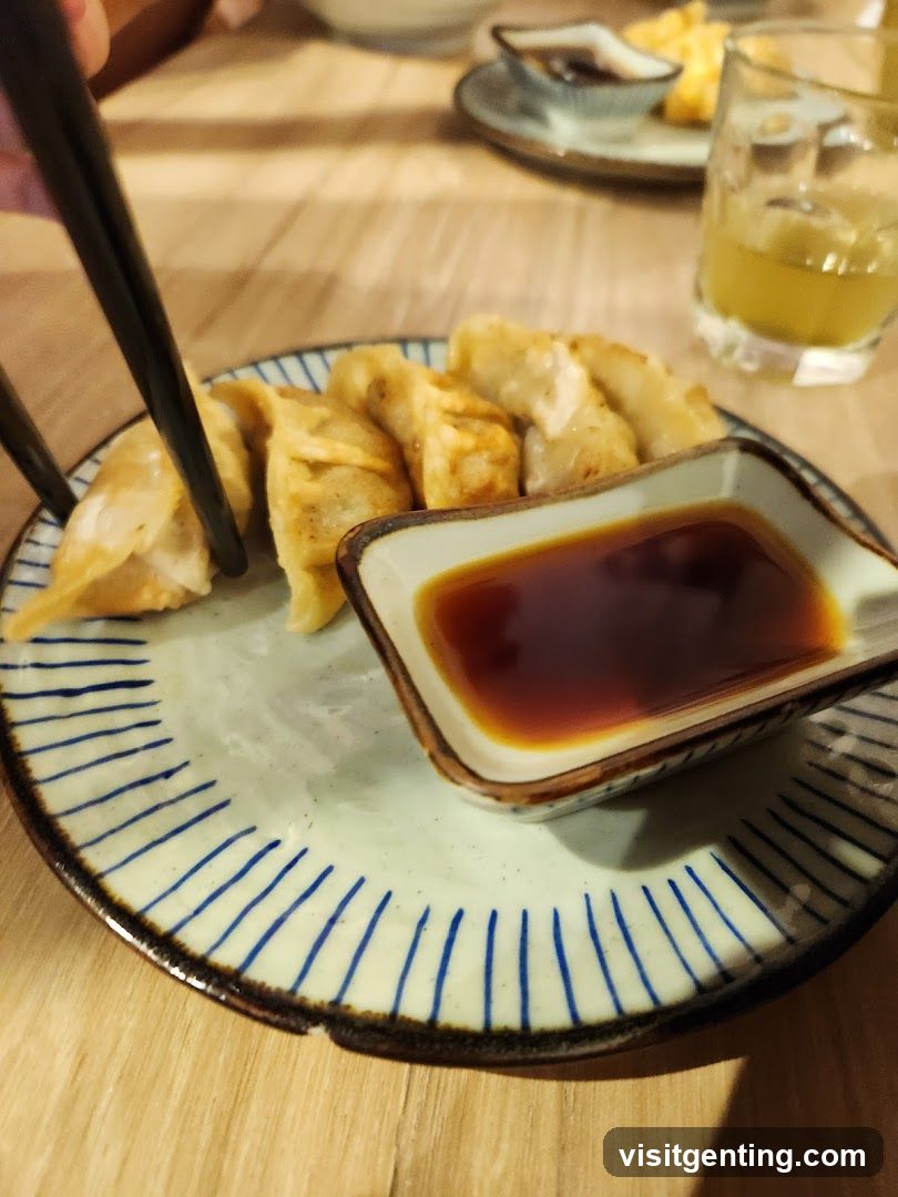 Pan-fried dumplings with dipping sauce