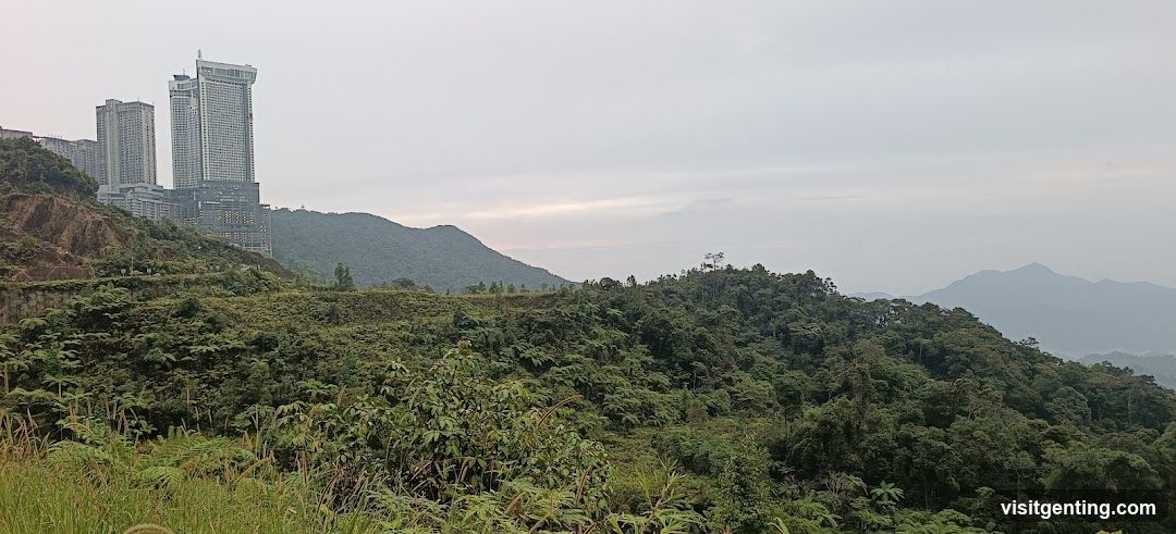 Mountainous Landscape with High-Rise Buildings