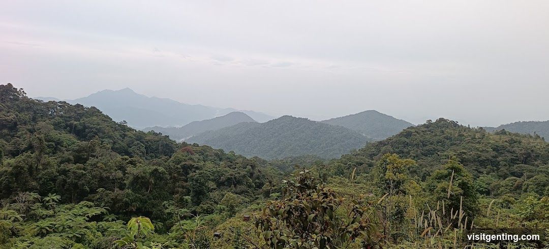 Misty Mountain Landscape