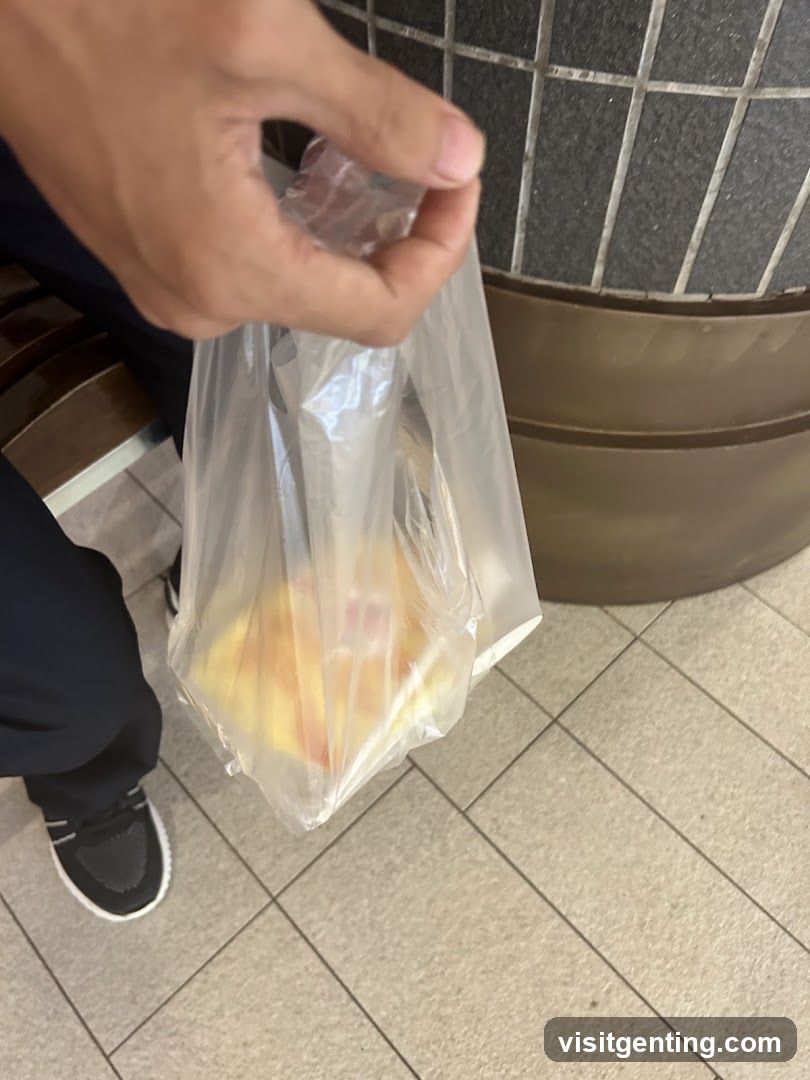 Person holding a plastic bag with food