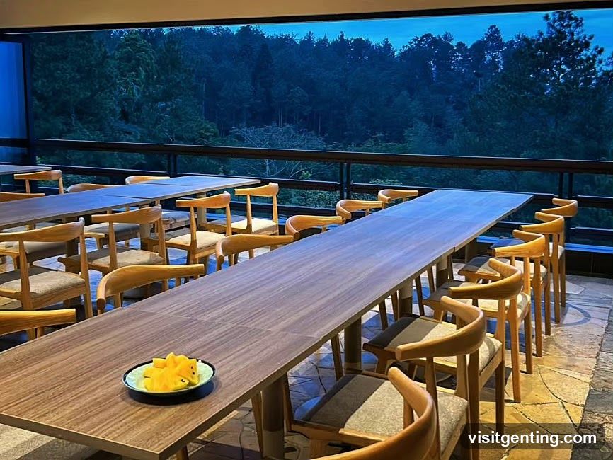 Restaurant Dining Area with Forest View