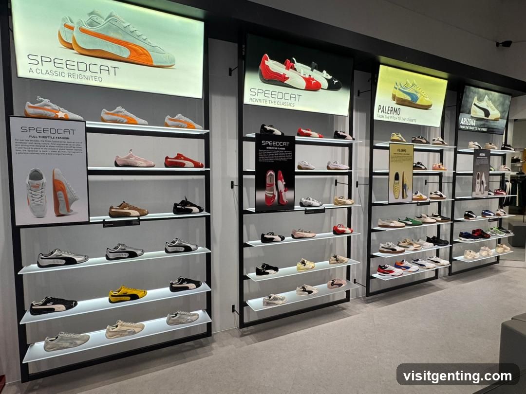 Puma Shoe Store Display