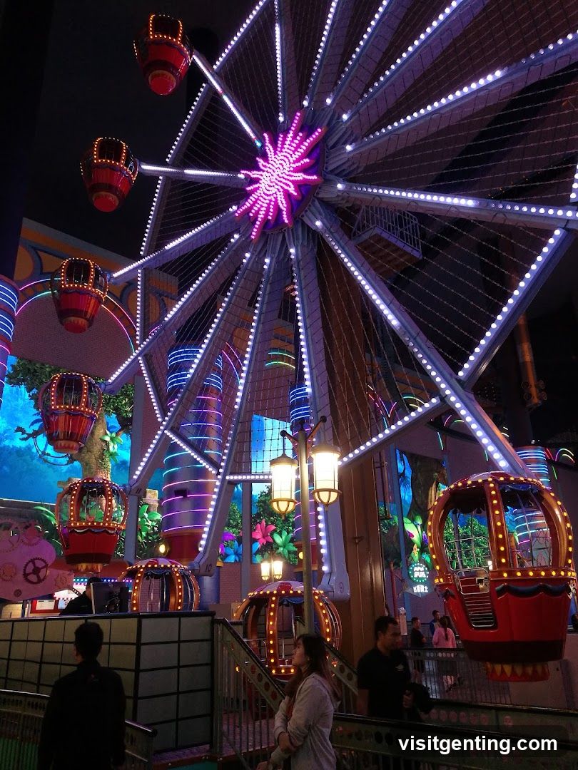 Indoor Ferris Wheel
